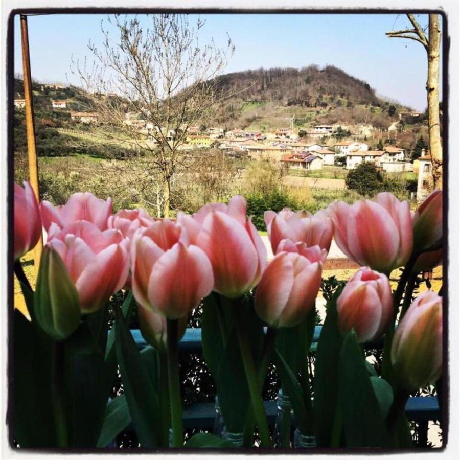 Belvedere Resort Ai Colli Galzignano Terme Eksteriør bilde